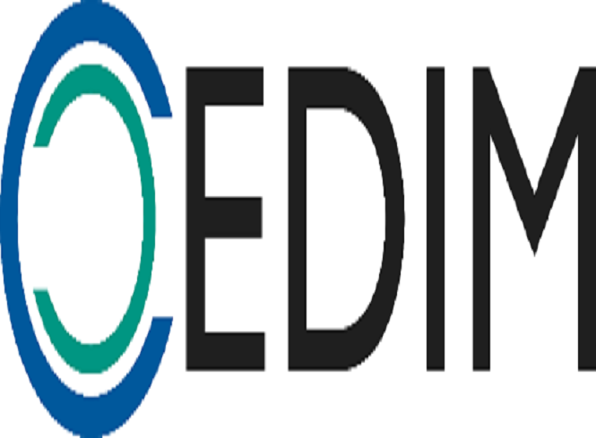 KIT Center for Disaster Management and Risk Reduction Technology (CEDIM) Logo